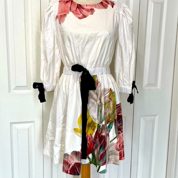 NWT Ted Baker White Dress Tuleela Tranquility Aline Dres, Gold Zipper Size 8 - Picture 2 of 14